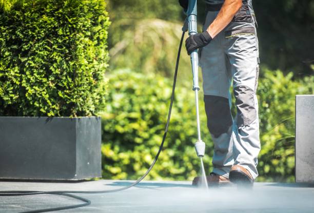 Best Animal Enclosure Cleaning  in Beacon, NY