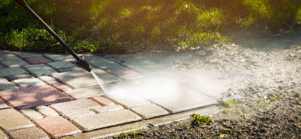 Animal Enclosure Cleaning in Beacon, NY